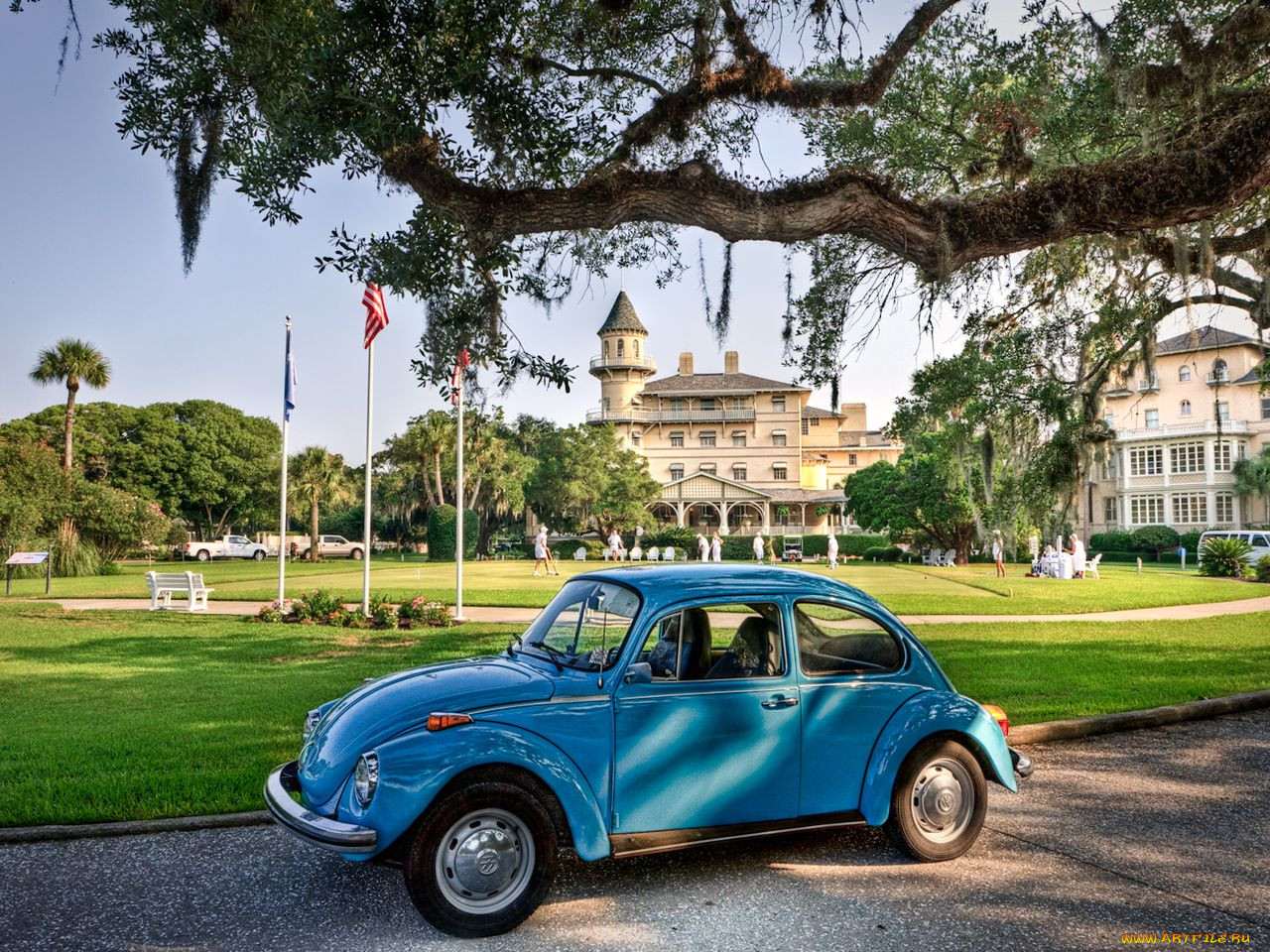 , volkswagen